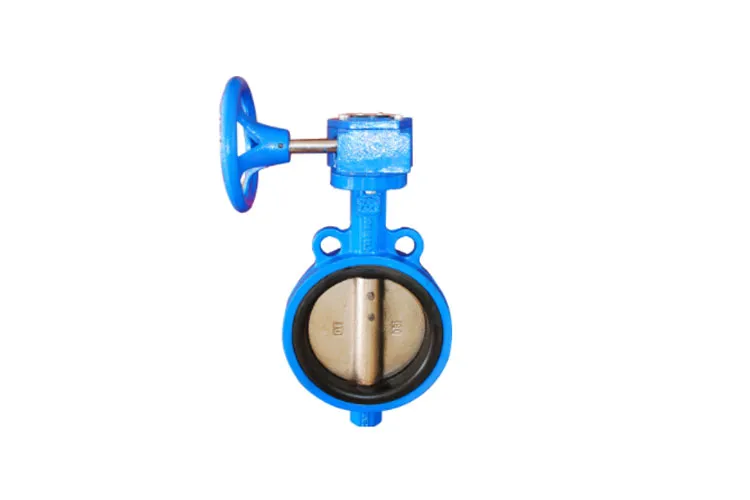 Large Bore Centreline Butterfly Valve
